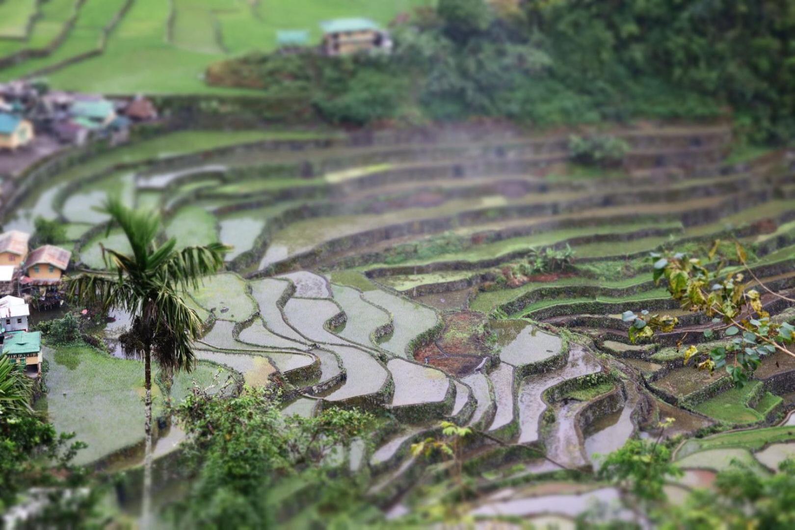 Batad Pension And Restaurant Banaue Exterior foto